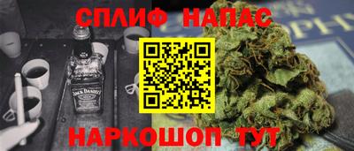 спиды Гусев